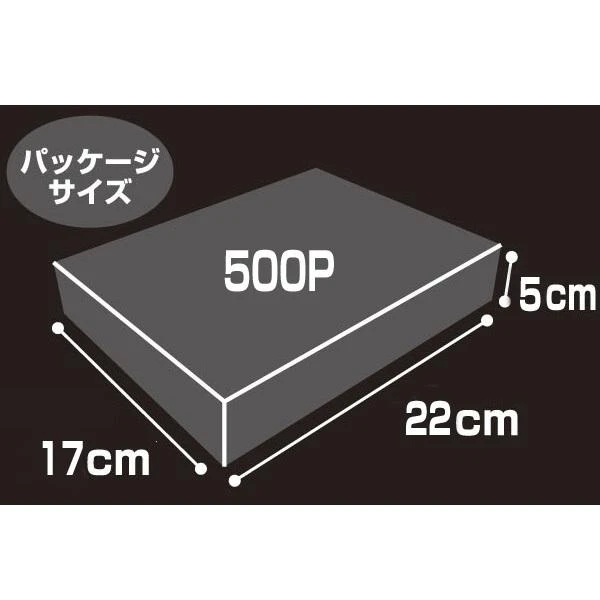 EVA STORE Original Jigsaw Puzzle RADIO EVA Illustration 05: Rei Ayanami (Tentative Title) 5 EVA STORE Original Jigsaw Puzzle RADIO EVA Illustration 05: Rei Ayanami (Tentative Title) - Image 3