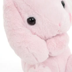 Pote Usa Loppy Rabbit Plush Collection (Big) -Doll Toy Shop 2e0702cbf6984a59ae5433807899aa7a.jpg