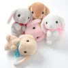 Pote Usa Loppy Onedari Rabbit Plush Collection (Standard) -Doll Toy Shop 35ac476fa49945b28006e93141f710a4.jpg