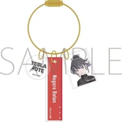 Tesla Note Acrylic Keychain -Doll Toy Shop 36bf409d985040488cccd0e24e12cf31.jpg