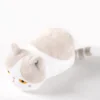Tsuchineko Shiawase Kagi Shippo Cat Pen Pouches -Doll Toy Shop 3fc967466111449bb93724e41b79c4df.jpg