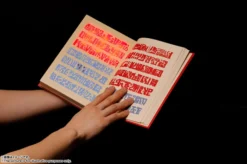 Bandai Proplica Zatch Bell! Red Spellbook -Doll Toy Shop 8fc6d896855b489dbf60ee2867b74d37.jpg