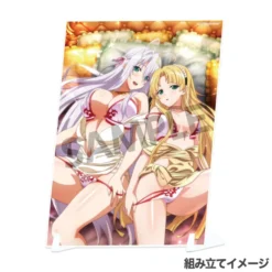 High School DxD Hero Visual Acrylic Plate Collection -Doll Toy Shop aadb812a83c9479484def7005c40a319.jpg