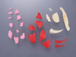 Kaitai Puzzle Fantasy Gomora -Doll Toy Shop aee7c879729c46e185edb0c814b7c8cd.jpg