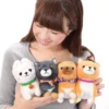 Mameshiba San Kyodai Halloween Dog Plush Collection (Standard) 2 Mameshiba San Kyodai Halloween Dog Plush Collection (Standard) -Doll Toy Shop b0fce8e25c5b4bdcb8a9a6bad0fc34ac.jpg