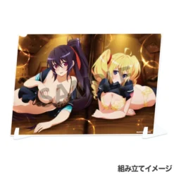 High School DxD Hero Visual Acrylic Plate Collection -Doll Toy Shop b948a67bf5174d9f80fadc0a9ae28510.jpg