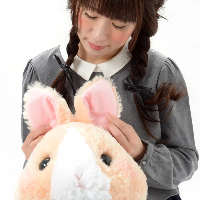 Usa Dama-chan Rabbit Plush Collection (Big) 16 Usa Dama-chan Rabbit Plush Collection (Big) - Image 14