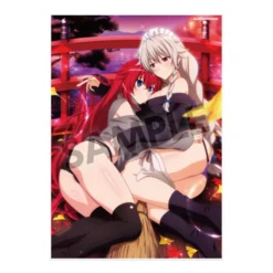 High School DxD Hero Visual Acrylic Plate Collection -Doll Toy Shop ca3c644e2223430db43907ec526bcedb.jpg