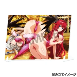 High School DxD Hero Visual Acrylic Plate Collection -Doll Toy Shop d0fadf5a53a8472ea3438faa8b0f125f.jpg