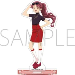 Puella Magi Madoka Magica Acrylic Stand -Doll Toy Shop f2e17ff432dd4ef798f48919a994d925.jpg